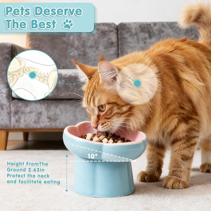 Cat Slow Feeder Bowl Set - 1 Pcs Pastel Series Cat Plate for Dry and Wet Food - Cute Maze Feeder Dish for Healthy Eating- Slow Feeding Bowls Whisker Friendly - Dishwasher Safe(Blue)