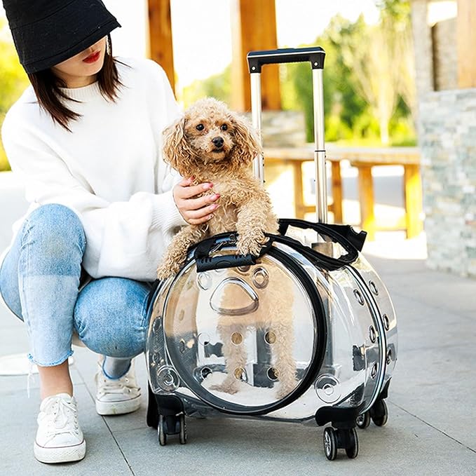 Pet Carrier with Wheels for Cats and Dogs, Clear Hard-Shell Rolling Pet Carrier with Retractable Handle, Airline-Approved Travel Carrier, Portable Cat and Dog Stroller (Black)