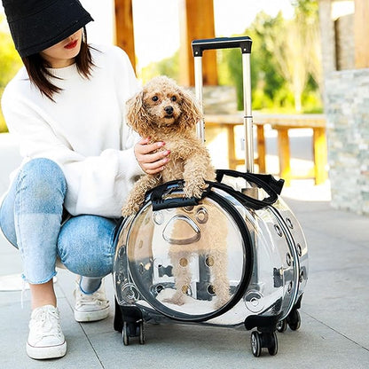 Pet Carrier with Wheels for Cats and Dogs, Clear Hard-Shell Rolling Pet Carrier with Retractable Handle, Airline-Approved Travel Carrier, Portable Cat and Dog Stroller (Black)