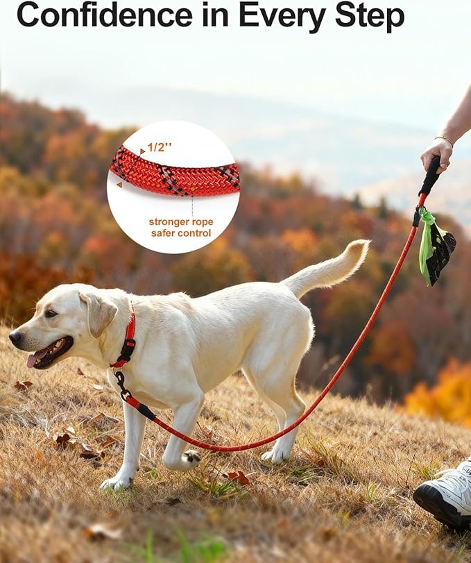 Joytale Dog Leash for Large Dogs, Heavy Duty Nylon Leashes with Comfortable Padded Handle and Highly Reflective Threads, Ideal for Walking and Training, Red, 6'×1/2''