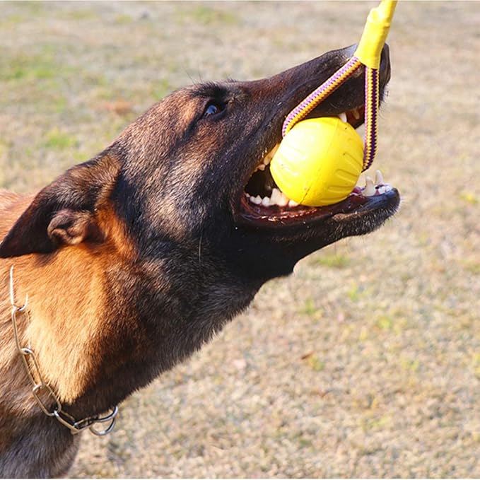 2pcs Diameter 2.76inch Dog Rope Ball, EVA Rubber Ball on a Rope Dog Toy can Floats in Water, for Interactive Pet Chewing Training Working Dog Rope Ball Toy, Tugging Ball Toys(Yellow)