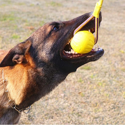 2pcs Diameter 2.76inch Dog Rope Ball, EVA Rubber Ball on a Rope Dog Toy can Floats in Water, for Interactive Pet Chewing Training Working Dog Rope Ball Toy, Tugging Ball Toys(Yellow)