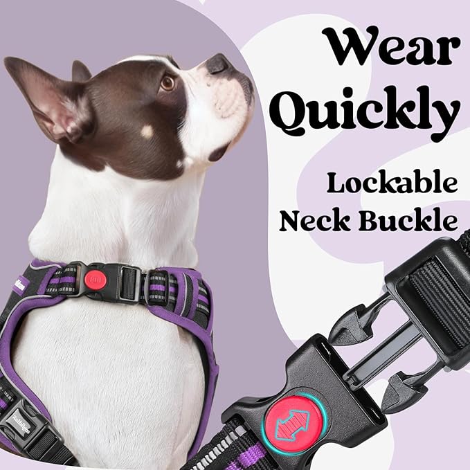 rabbitgoo Dog Harness Medium Sized, No Pull Pet Harness with 3 Buckles, Adjustable Soft Padded Vest with Control Handle, Walking Reflective Pet Vest for Medium Dogs, Black & Purple, M