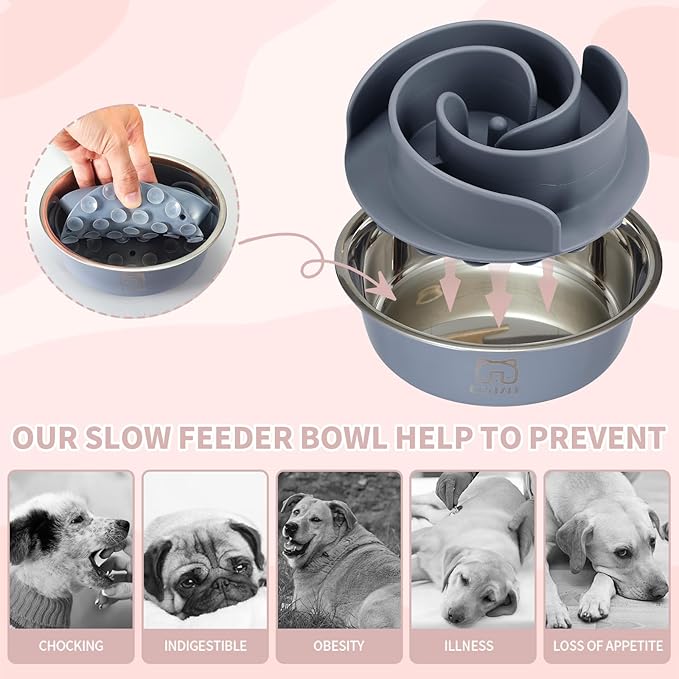 2-in-1 Metal Slow Feeder Dog Bowl, Bestalk Stainless Steel Dog Bowls with Silicone Slow Feeder Insert, Food Grade 304 Water Food Bowl with Anti-Slip Base for Small, Medium, Large Dogs