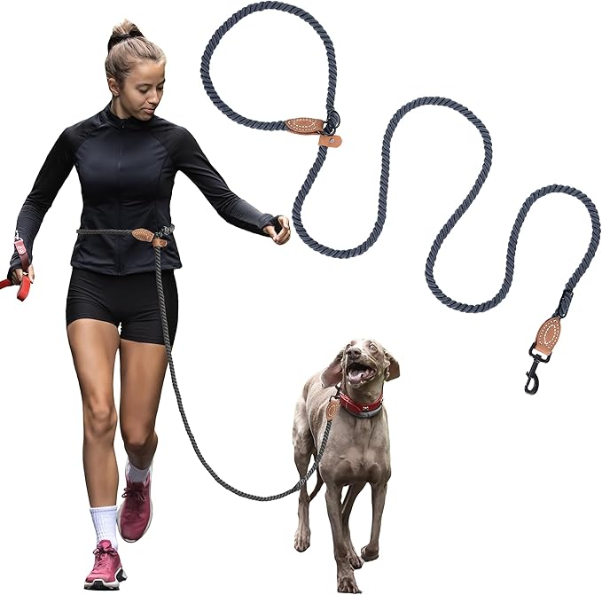 Mile High Life Hands Free Dog Leash, Crossbody Waist Leash with Genuine Leather Connection, Multifunctional Adjustable Slip Lead for Dog Walking Running (Blue Green, 7FT)