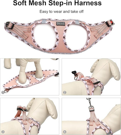 Mercano Soft Mesh Dog Harness and Leash Set, No-Chock Step-in Reflective Breathable Lightweight Easy Walk Vest Harnesses with Safety Buckle for Small Dogs, Cats (Champagne, XS)