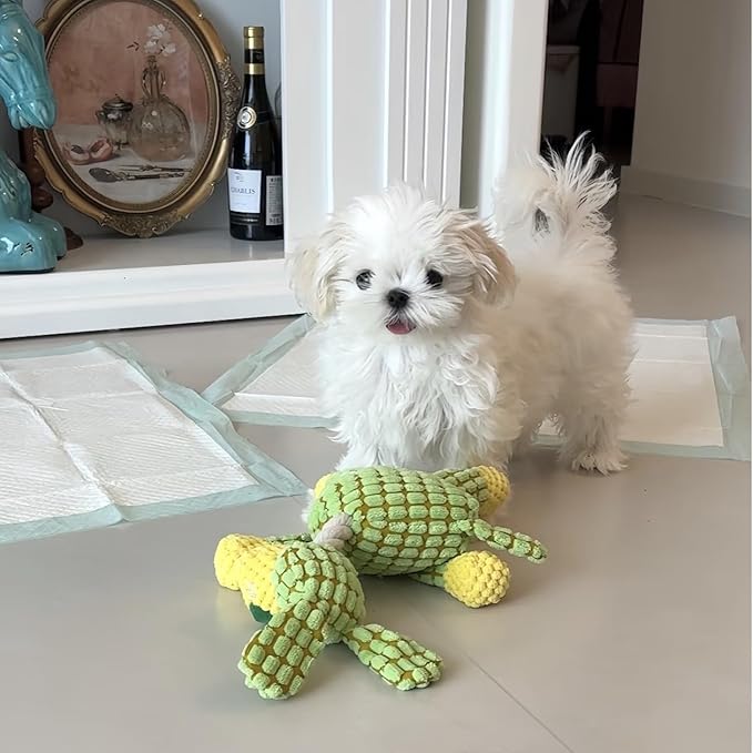 Squeaky Green Dog Plush Toy, Unique Color Cute Dog Toys for Chewing, Tough Puppy Toys for Teething Small Dogs, Stimulating Plush Chew Toy with Squeaker