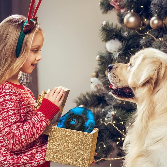 Tough Dog Toys for Aggressive Chewers, Indestructible Dog Toy for Large Dogs, Nylon Chew Toys for Medium Large Breed, Interactive Dog Toys to Keep Them Busy, Dog Birthday