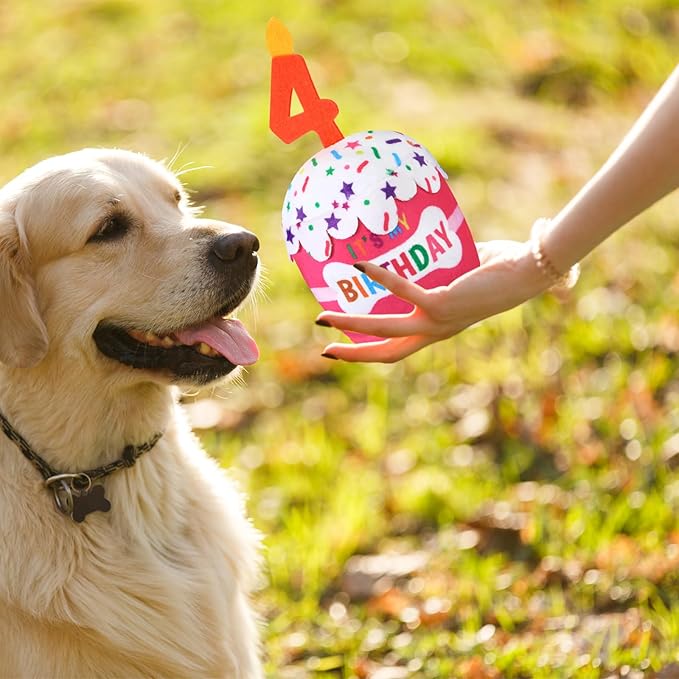 Dog Birthday Cake Toy Accessories for Girl Boy Gifts, Squeaky Plush Toy for Dog Birthday Party Decor Favor for Large, Medium and Small Dogs(4th,Pink)
