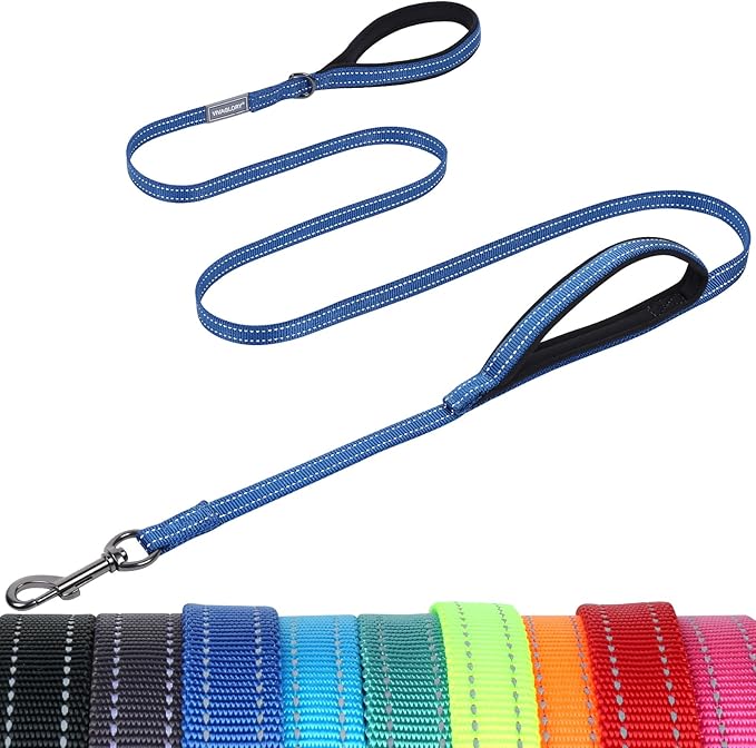 VIVAGLORY Dog Leash Twingrip Double Handle Dog Leash with Traffic Handle Control & 2 Loop for Walking & Training, Reflective Heavy Duty for Puppy Pet Collar, 6ft x 1/2in, Blue