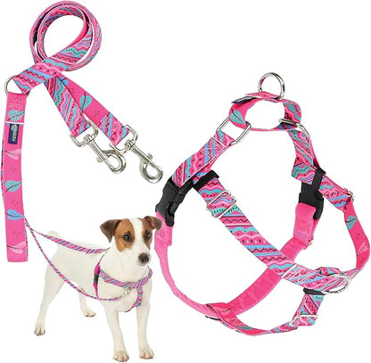 2 Hounds Design - Freedom No-Pull Harness & Training Leash in Pink and Blue | Dual Leash Loops, No Pulling on Walks | Lined to Prevent Chaffing | for Small Sized Dogs (Size S, Chest 20”- 24”)