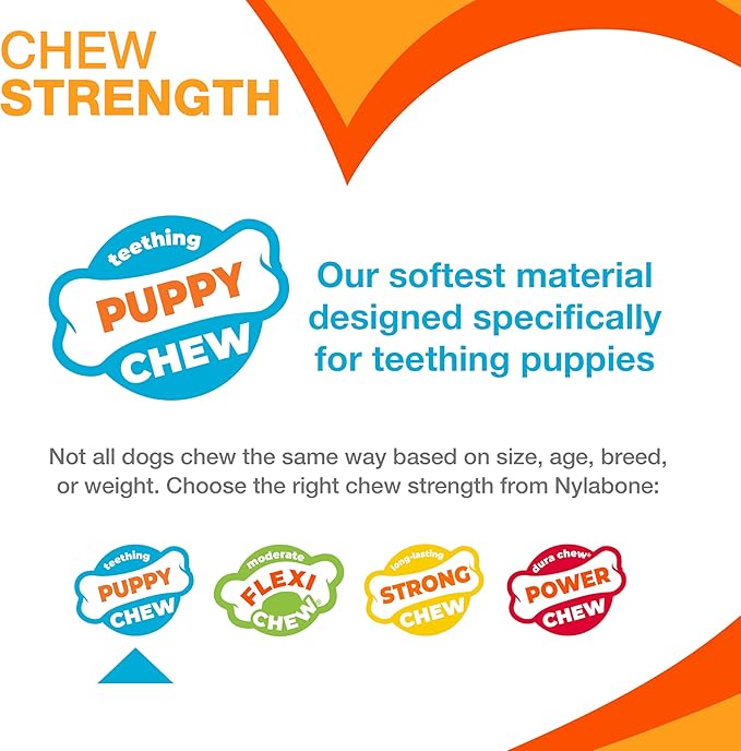 Nylabone Textured Teething Bone Puppy Chew Toy, Soothing Puppy Teething Bone, Enrichment Toy for Puppies, Pink, Chicken Flavor, X-Small Dogs - Up to 15 Ibs, 1 Count