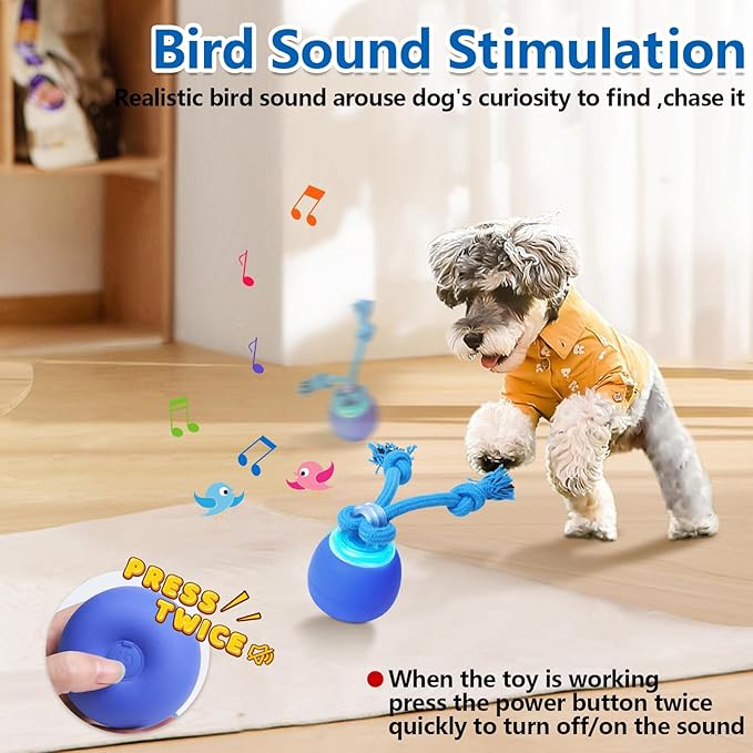 Interactive Dog Toys with Motion Activated, Squeaky Dog Toy Active Rolling Ball for Puppy and Medium Dogs, USB Rechargeable