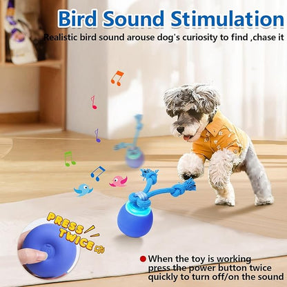 Interactive Dog Toys with Motion Activated, Squeaky Dog Toy Active Rolling Ball for Puppy and Medium Dogs, USB Rechargeable