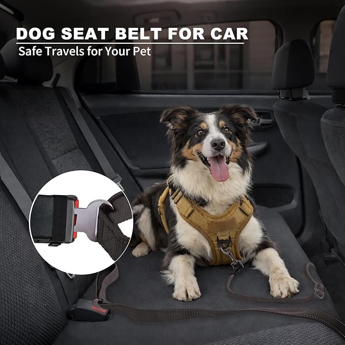 10FT Hands Free Dog Leash for Small Medium Large Dogs, Heavy Duty Reflective Dog Leash with Traffic Handle, Seat Belt Buckle & Poop Bag Holder (Black)
