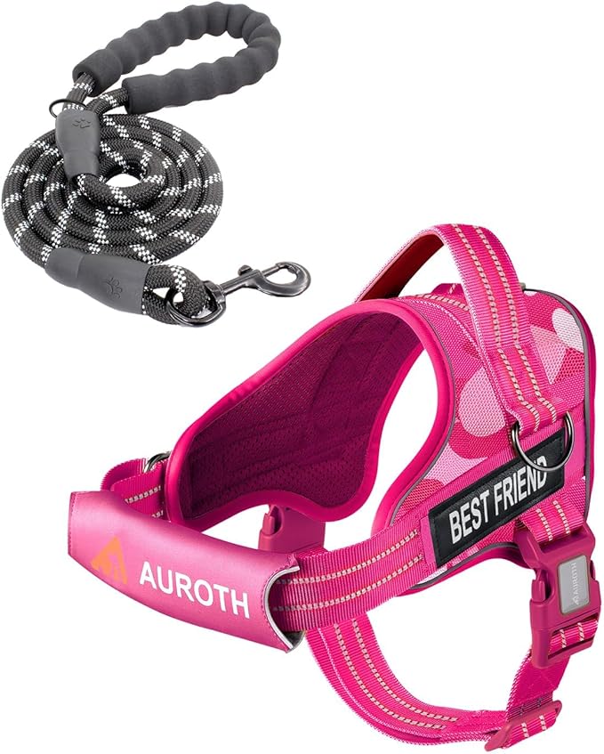 AUROTH Dog Harness and Leash Set, Soft Padded Service Dog Vest with 5.25FT Dog Leash, No Choke, Easy On Pet Vest, Adjustable Reflective No Pull Dog Harness for Large Dogs, Easy Walking and Training