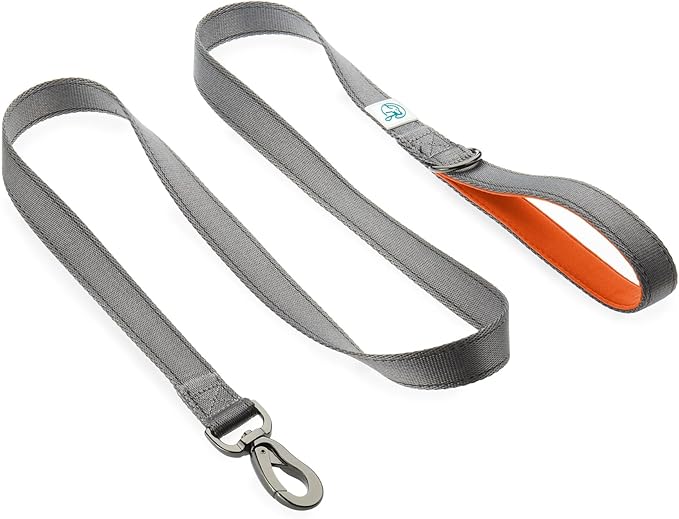 Embark Adventure Dog Leashes - Colorful, Strong, and Sturdy Dog Leash for Small, Medium, and Large Breed Dogs (Orange, 5 Ft)