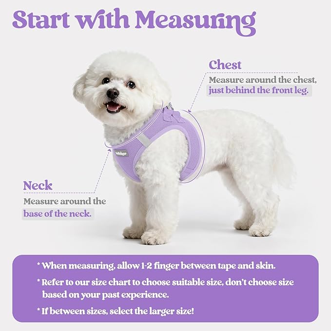 rabbitgoo Dog Harness Small Sized and Leash Set, Step in Soft Light Puppy Vest, Breathable Mesh Pet Harness, Reflective for Safe Easy Walking, Light Purple S