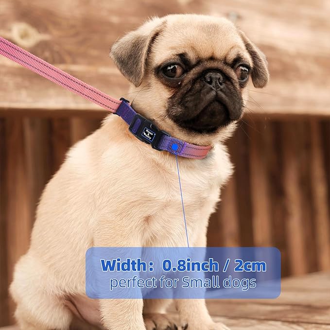 Roses&Poetry Hands Free Dog Leash for Small Dogs, All-in-One Leash & Collar 6.6-8.7ft Adjustable Waist Crossbody Leash for Dog Walking Lightweight with No Metal Clip Running Jogging