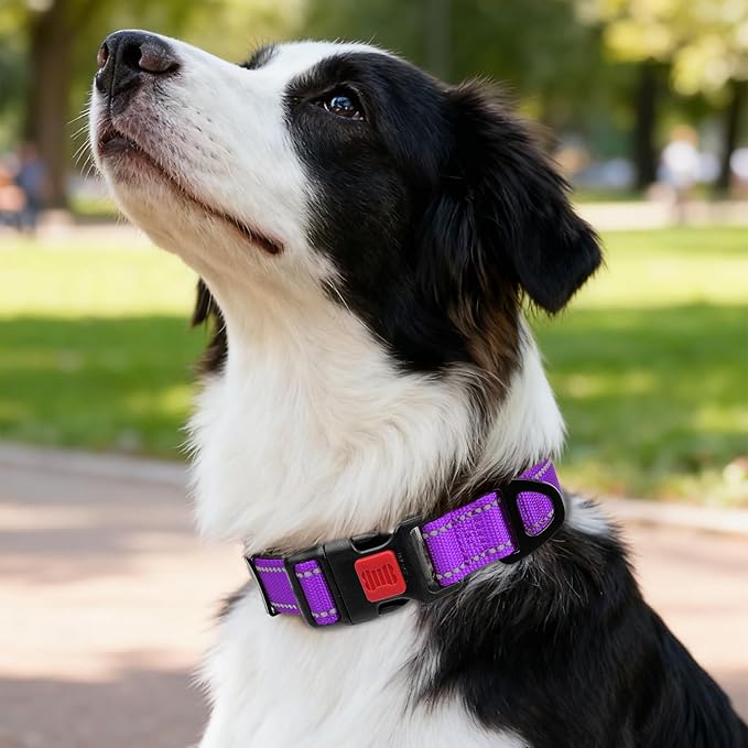 Taglory Reflective Dog Collar with Safety Locking Buckle, Soft Neoprene Padded Dog Collar for Medium Dogs, Metal D-Ring, Adjustable Nylon Neck Strap for Daily Walking, Training & Running, Purple, M