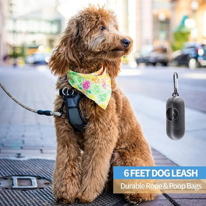 BAAPET 2/4/5/6 FT Dog Leash with Comfortable Padded Handle and Highly Reflective Threads for Small Medium and Large Dogs (6FT-1/2'', Grey)