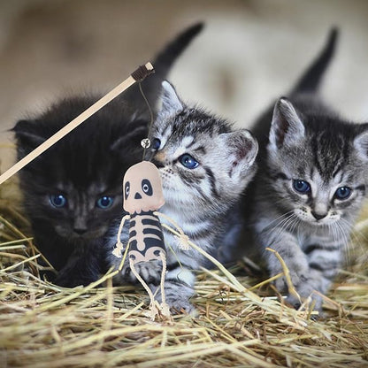 Halloween Cat Teaser Wands Plush Stick Toys for Interactive Kitten Play Indoor Exercise and Healthy Activity 15.8 Inch