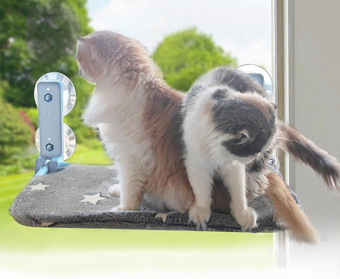 Foldable Cat Hammock for Window Glow in The Dark Cordless Cat Window Perch for Large Cats and Kittens, Soft and Thick Blanket with Zipper, Sturdy Never Fall