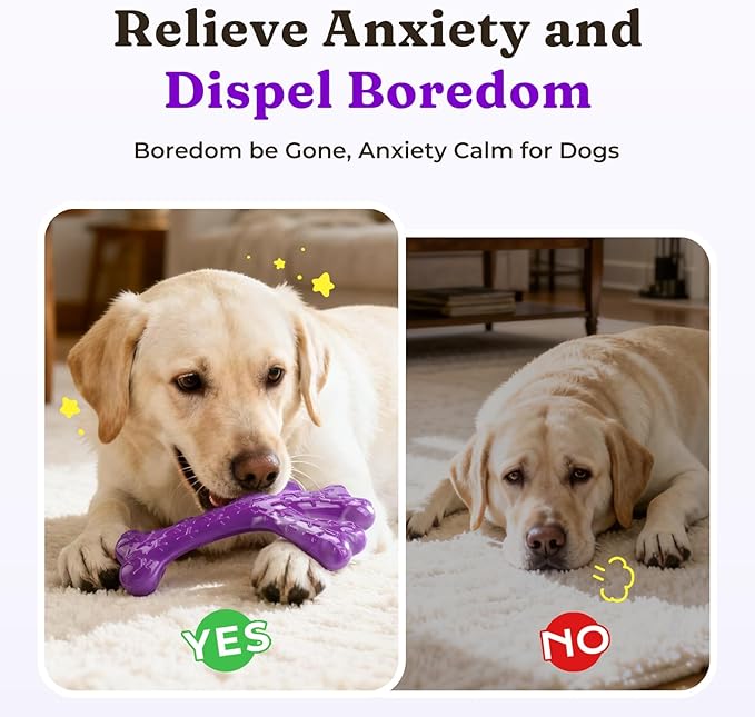 XL Cactus Indestructible Dog Chew Toys for Aggressive Chewers - 2 Pack Beef Flavored Nylon Bones for Large Dogs 20-90 lbs, Long Lasting & Keeps Them Busy