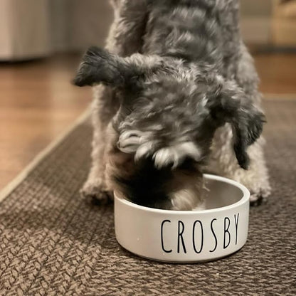GUANKE Personalized Ceramic Pet Bowls, Custom Small Medium Large Dog Food Dishes, Puppy Cat Rabbit Water Bowl, Custom Name, S/M/L Size for All Pets