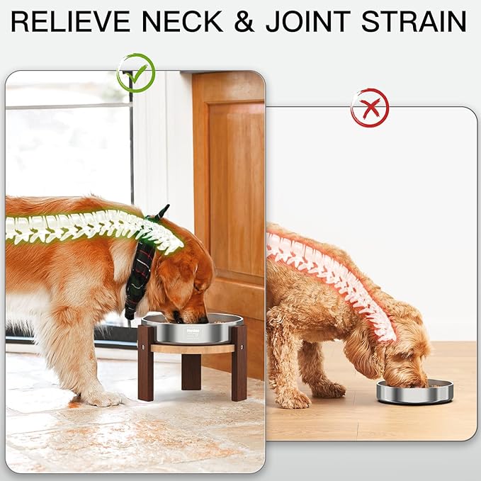 Elevated Dog Bowl Stand, 6'' Height Raised Stand for Medium&Small Dogs, Includes 2Cups Stainless Steel Slow Feeder Dog Bowl, Durable Solid Hardwood