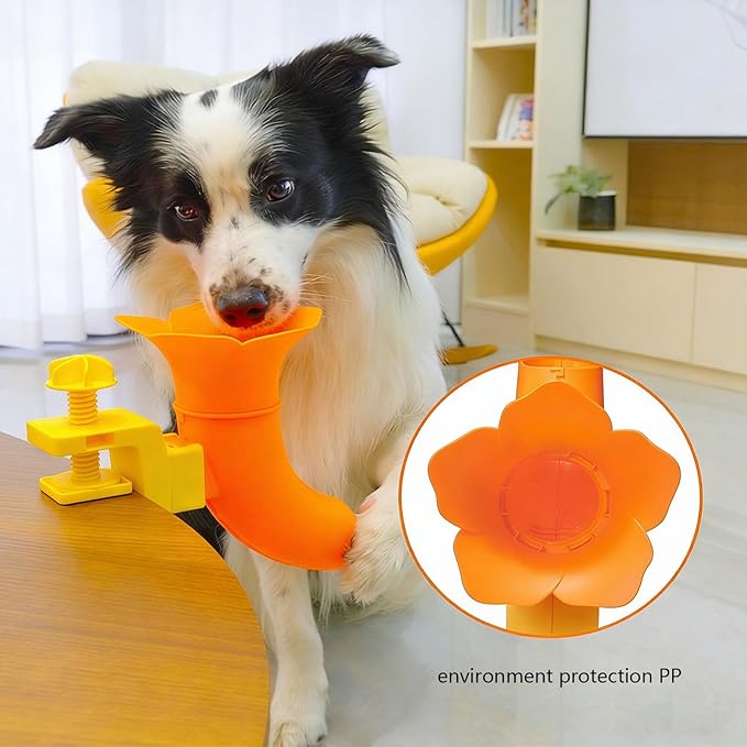 Compact Loading Canine Sphere Starter for Lively Dogs and Busy Owners Portable Dog Ball Starter