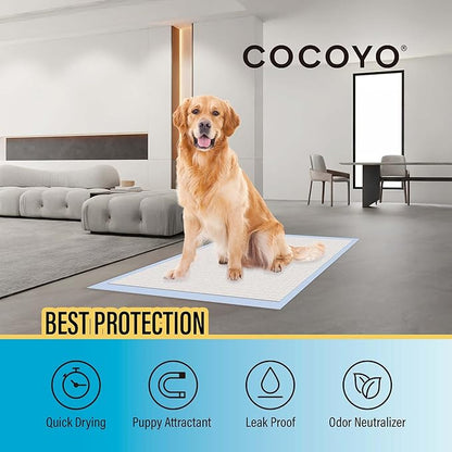 COCOYO Best Value Training Pads, 28" by 34" XL, 80 Count,Blue and White