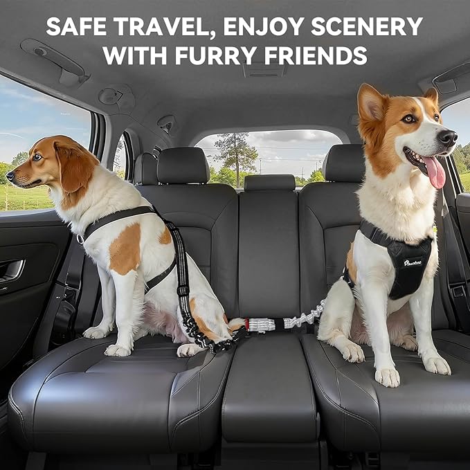 Pawaboo 2Pack Dog Seatbelt for Car, 3-in-1 Dog Car Seat Belt, Shockproof Dogs Tether with Buckle & Hook Latch, Adjustable Reflective Dogs Cars Harness Leash with 360° Lockable Buckle, Gray & Black