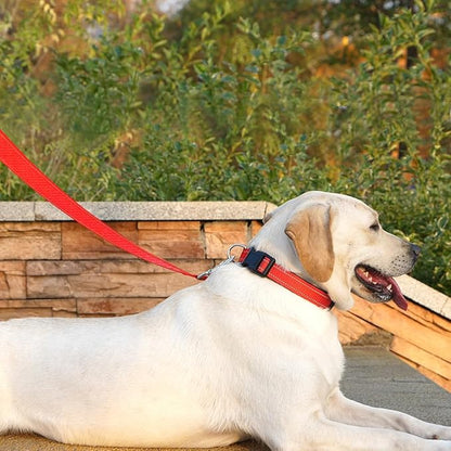 Dog Leash 6 FT Padded Handle Nylon Reflective Dogs Leashes for Medium Dogs Red