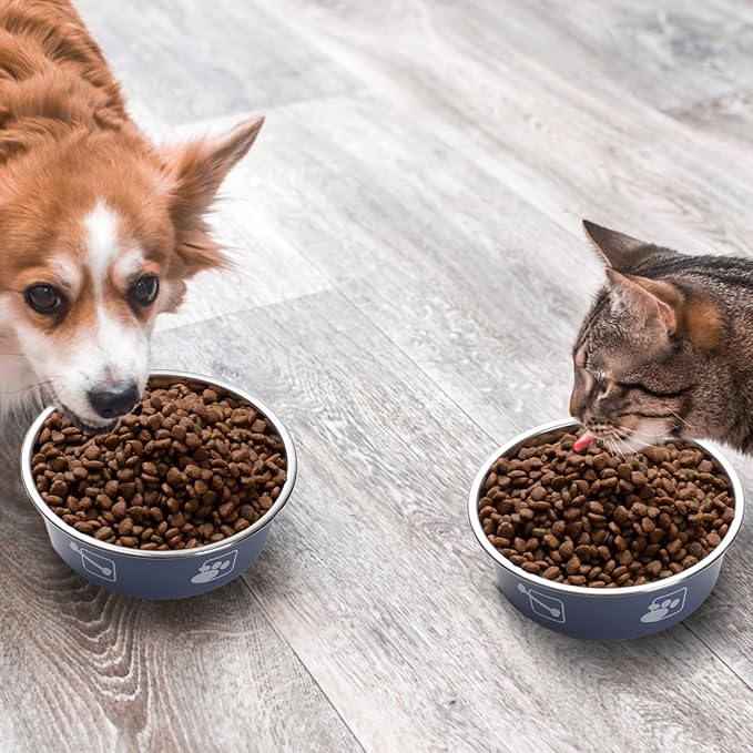 Stainless Steel Dog Bowls, Dog Food Bowl with Silicone Non-Slip, Puppy Bowls for Medium, Set of 2