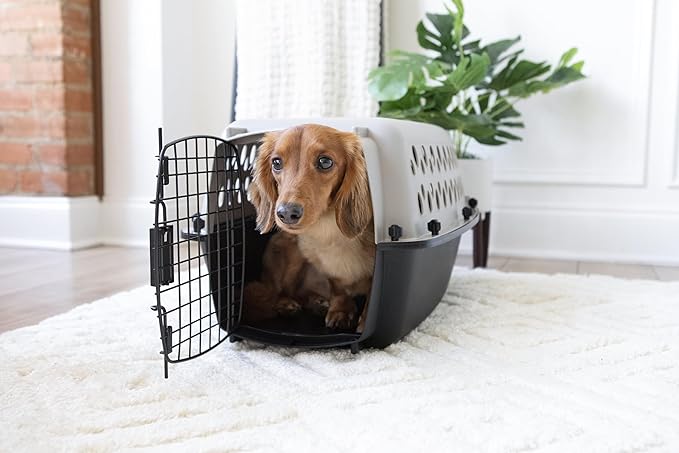 Pet Portable Kennel for Dogs, Hard-Sided Travel Carrier with Metal Door, Durable Crate for Small Pets 5-15 lbs, Black & Grey, 23" L x 15.2" W x 11.8" H