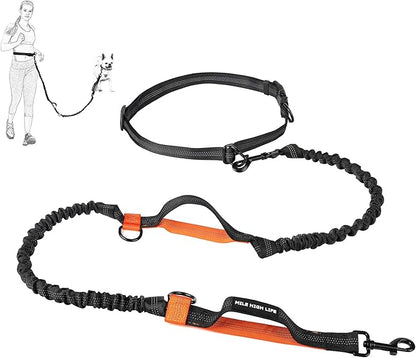Mile High Life | Retractable Hands Free Dog 7FT Leash | Waist Running Adjustable | Reflective Dual Black Bungees | Dual Handles | Small Medium Large Dogs | (Orange)