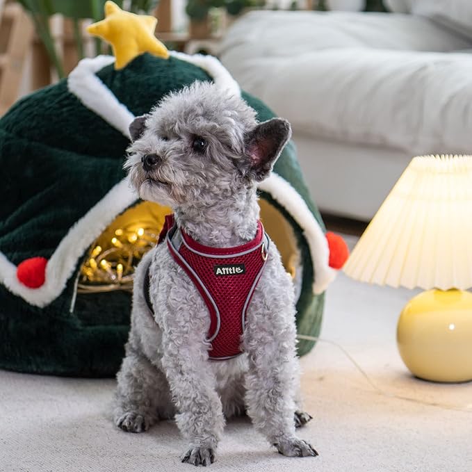AIITLE No Pull Dog Harness and Leash Set, Christmas Step in Adjustable Dog Harness with Padded Vest for All Weather, Dog Leash with Soft Padded Handle, Easy to Put on Small and Medium Dogs Burgundy S