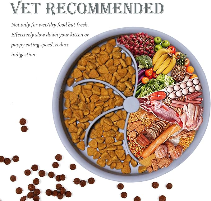 Slow Feed Dog Bowl & Cat Bowl (10 oz, Grey, Modern Silicone, Promotes Healthy Eating, Large Dogs & Cats, Multiple Pets)