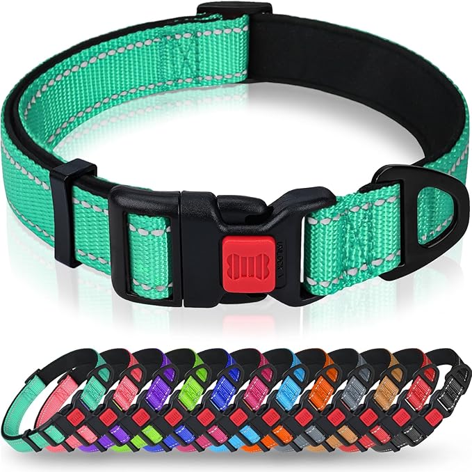 Taglory Reflective Dog Collar with Safety Locking Buckle, Soft Neoprene Padded Dog Collar for Large Dogs, Metal D-Ring, Adjustable Nylon Neck Strap for Daily Walking, Training & Running, Turquoise, L