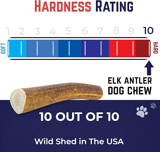 Devil Dog Pet Co - Elk Antler for Dogs Petite 6 Pack - Long Lasting Natural Dog Chew for Toy & Extra Small Breeds - Naturally Shed Grade A Rocky Mountain Elk, Anxiety & Boredom Relief