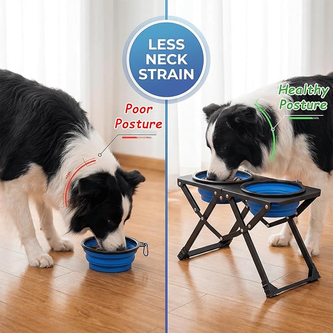 Adjustable Height Foldable Elevated Dog Bowls with 2 Stainless Steel Bowls, Non-Slip Raised Pet Feeding Station for Medium & Large Dogs