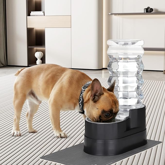 RIZZARI Gravity Water Dispenser for Dogs: 8L Raised Black Automatic Stainless Steel Waterer -Removes Odors -Softens Water -Helps Prevent Urinary Stones -Good for Spine - Senior Dogs- for Bedrooms