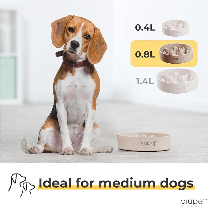 Slow Feeder Dog Bowl (27 fl oz)