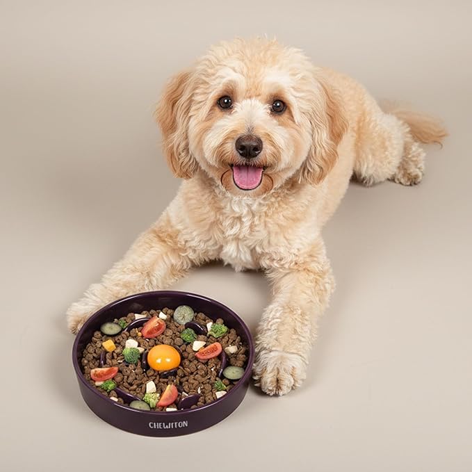 CHEWFFON Ceramic Slow Feeder Dog Bowls, 2 Cups Puzzle Dog Food Bowl for Fast Eaters, Nonslip Stop Bloat Slow Feeder for Small and Medium Breed, Dishwasher Safe, Dark Purple