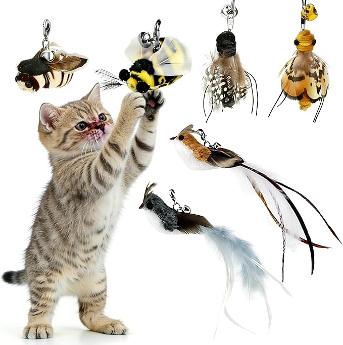 6 Pieces Cat Feather Toys Replacement Bird Insect Cat Toy Wand Refills Cats Toy Replacement Natural Bird Feathers for Cats Toys