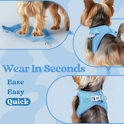 rabbitgoo Small Dog Harness, Step-in Soft Mesh Puppy Vest with Safety Buckle, Breathable Reflective Pet Harness for Small Medium Dogs, Blue XL