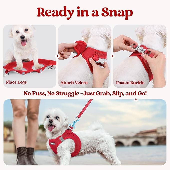 rabbitgoo Dog Harness Small Sized and Leash Set, Step in Soft Light Puppy Vest, Breathable Mesh Pet Harness, Reflective for Safe Easy Walking, Red XXS