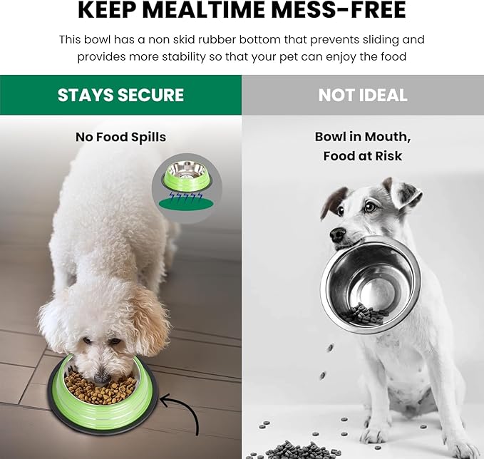 Iconic Pet Color Splash Stripe Non-Skid Stainless Steel Dog & Cat Bowl - Green, 24 Oz, 3 Cup, Durable, Easy to Clean, Anti-Slip Feeding Dish for Food & Water, Stylish Design for Dogs and Cats
