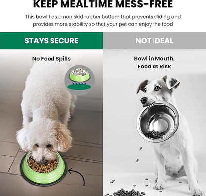 Iconic Pet Color Splash Stripe Non-Skid Stainless Steel Dog & Cat Bowl - Green, 24 Oz, 3 Cup, Durable, Easy to Clean, Anti-Slip Feeding Dish for Food & Water, Stylish Design for Dogs and Cats